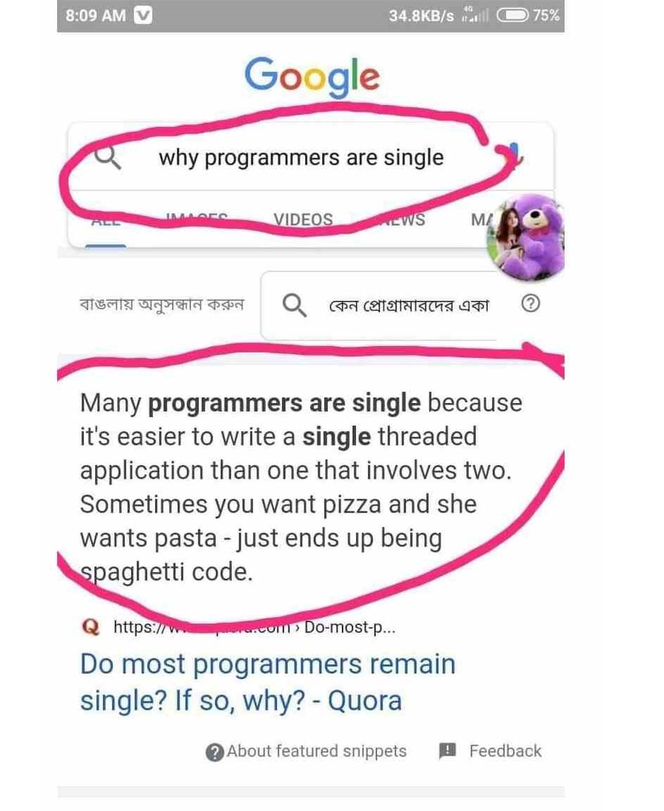 Someone write on Google Why programmers are single