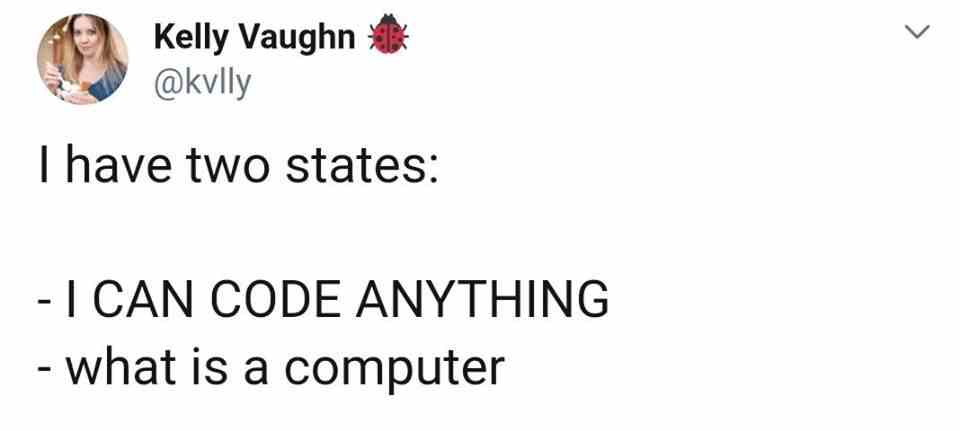 State of programmer