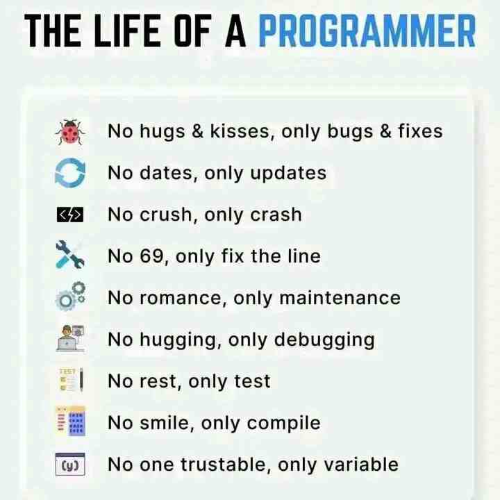 The Life Of A Programmer