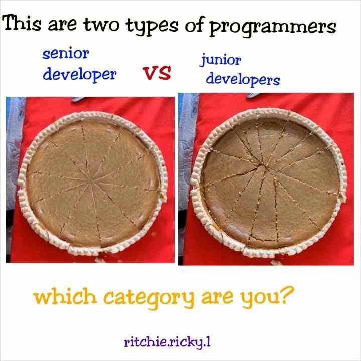 This are two types of programmers