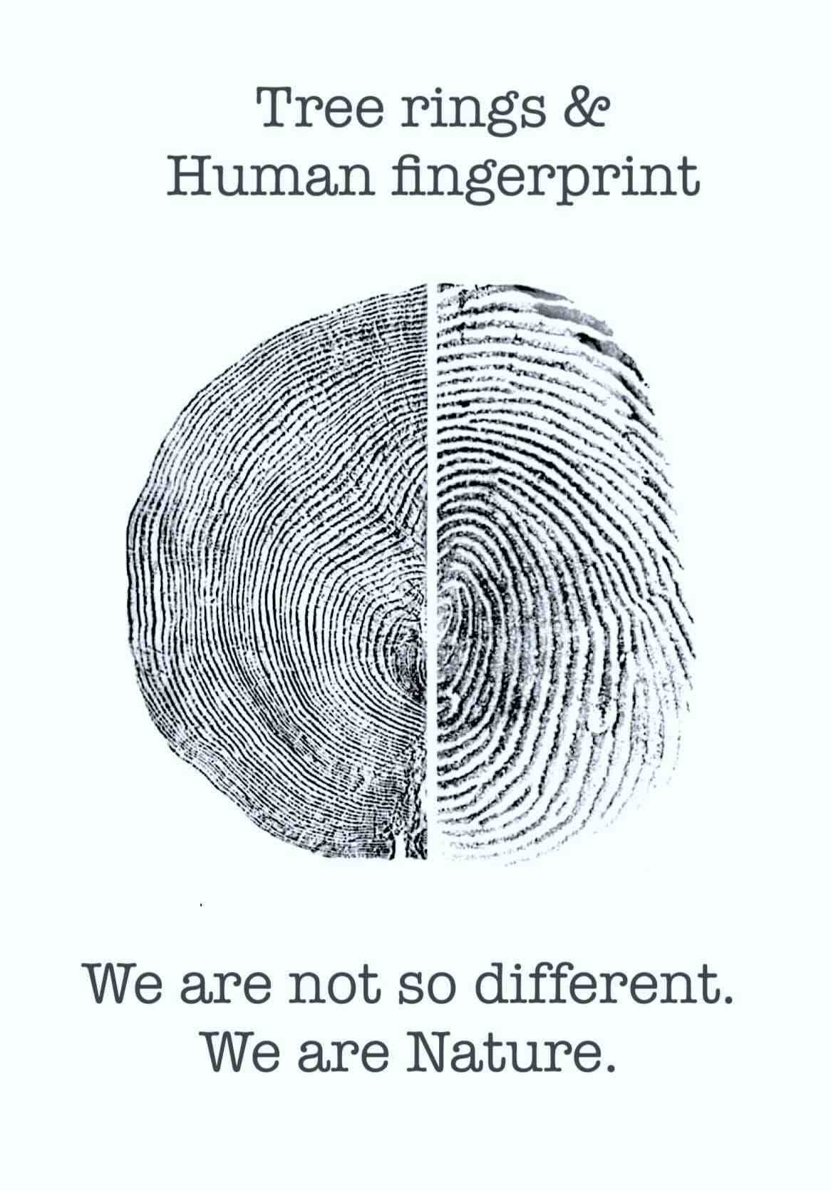 Tree rings & human fingerprint