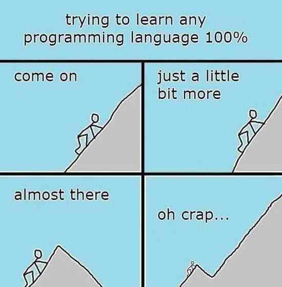 Trying to learn any Programming language 100%