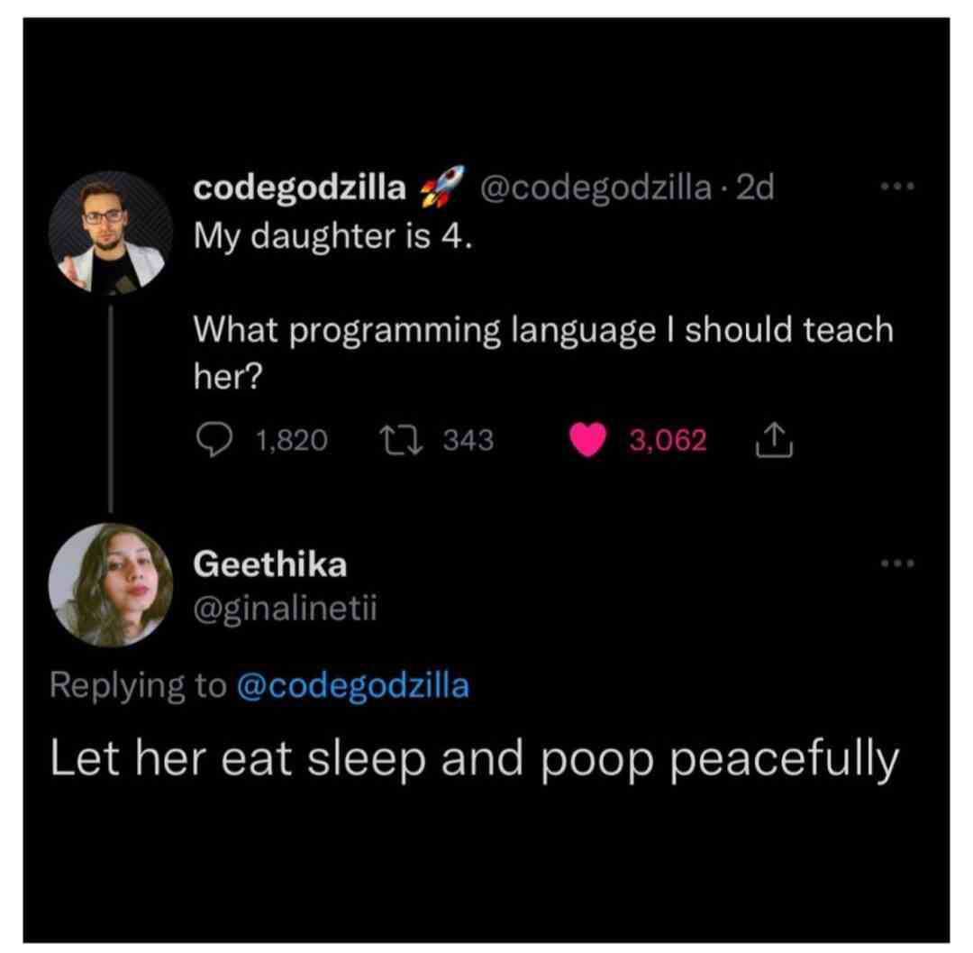 What Programming language i should teach her?