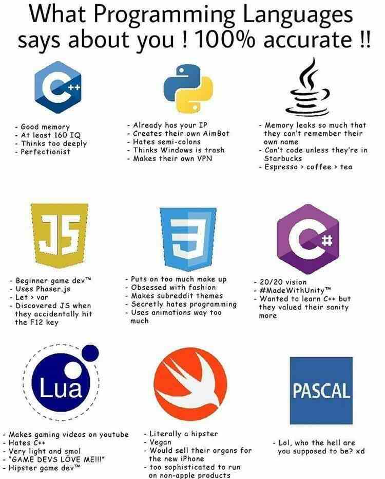 What programming Languages says about you ! 100% accurate!!