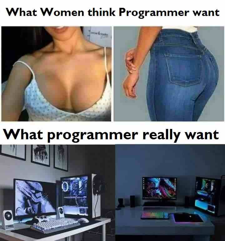 What Women think Programmer want vs What programmer really want