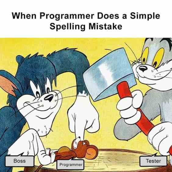When Programmer Does a Simple Spelling Mistake