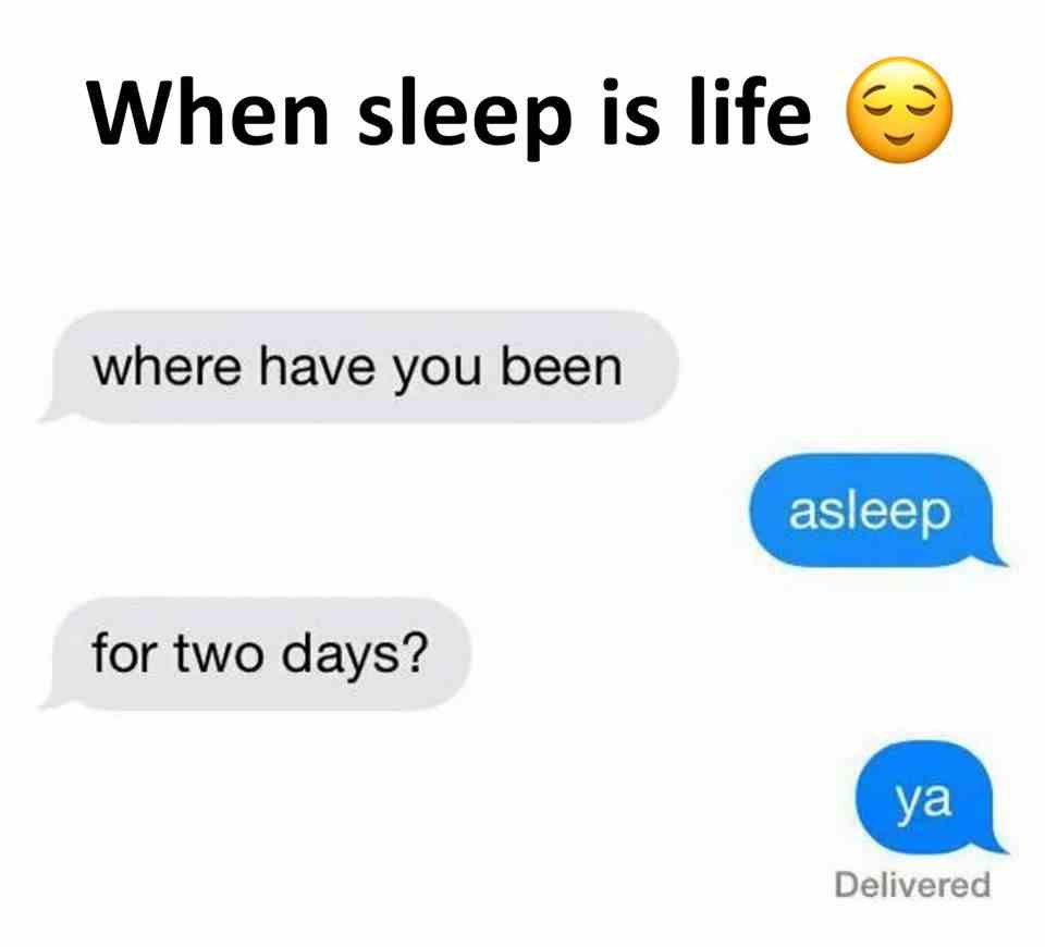 When sleep is life!