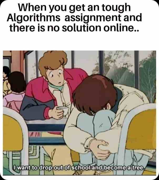 when you get an tough algorithms assignment and there is no solution online..