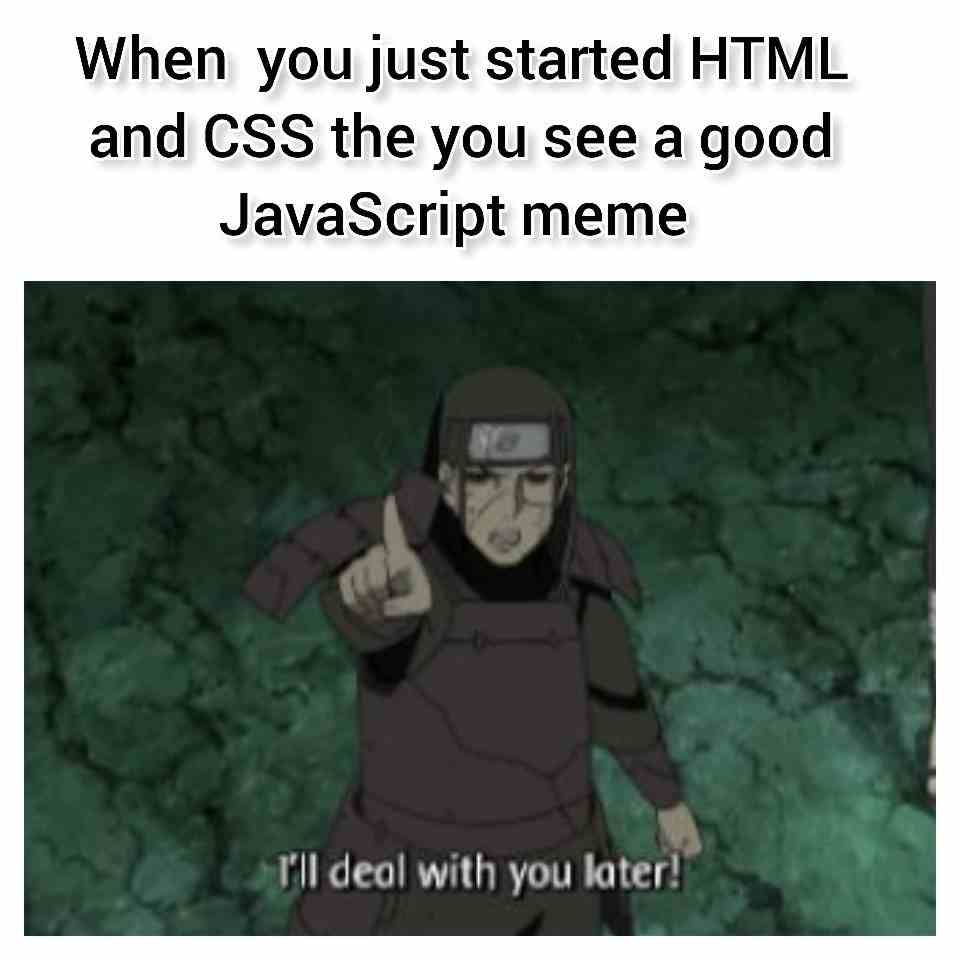 When you just started HTML and CSS the you see a good JavaScript meme