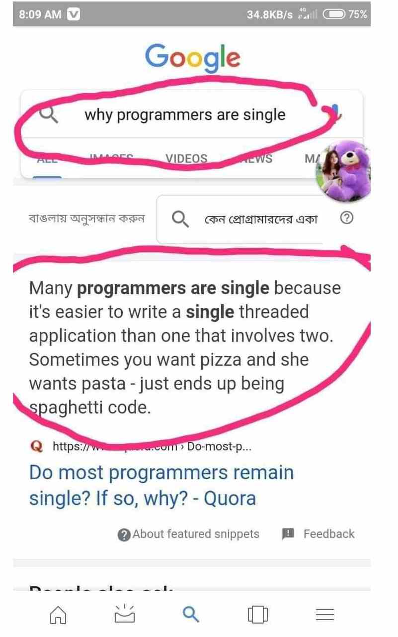 Why Programmers are single