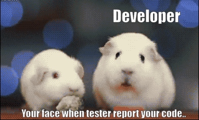 your face when tester report your code