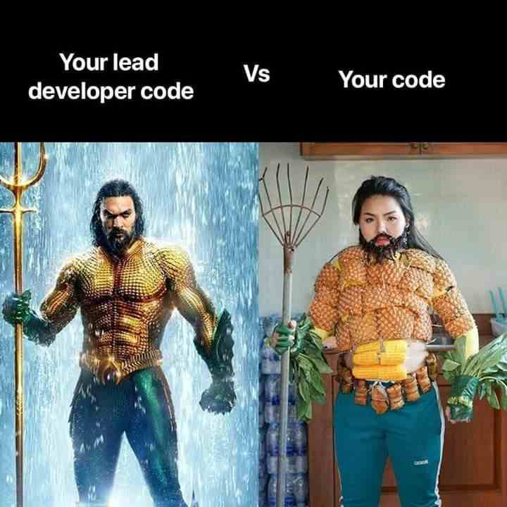 Your lead developer code vs you code